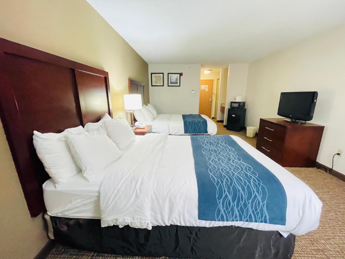 Inn Comfort Downtown - Area 2*