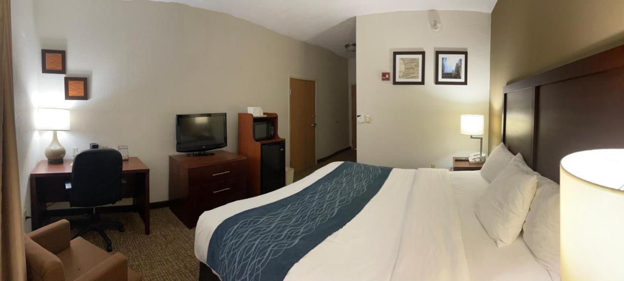 Inn Comfort Downtown - Area