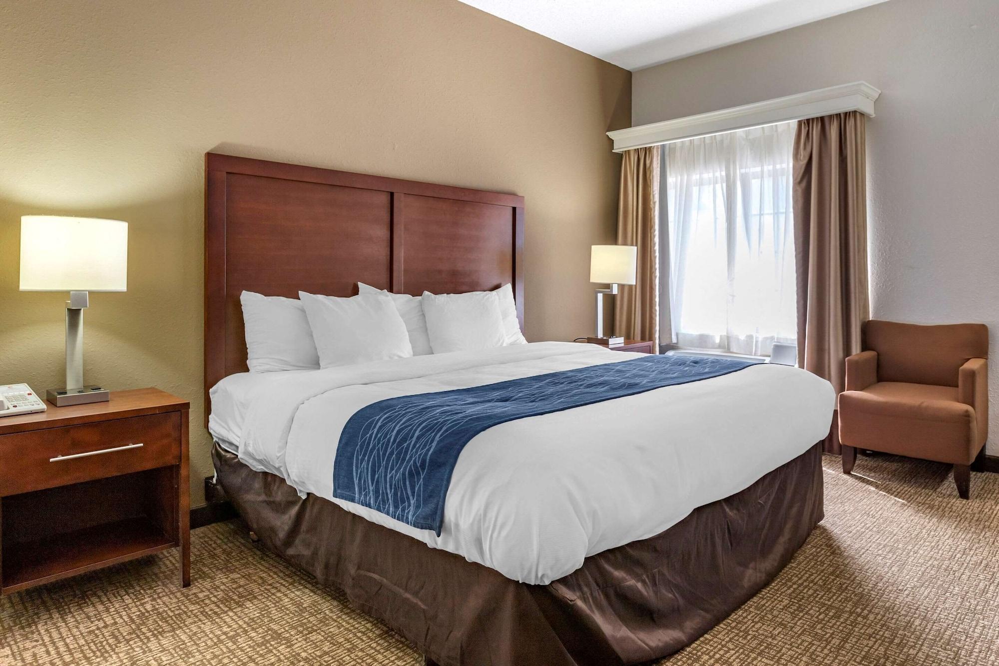 Comfort Downtown - Area Inn Kalamazoo