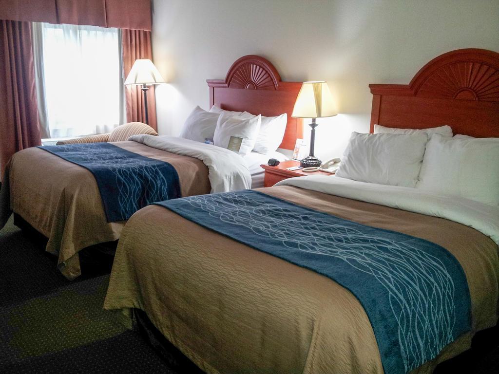 Inn Comfort Downtown - Area Kalamazoo