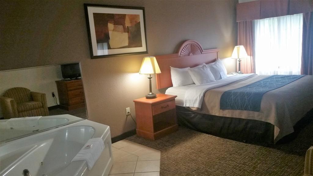 Inn Comfort Downtown - Area Kalamazoo
