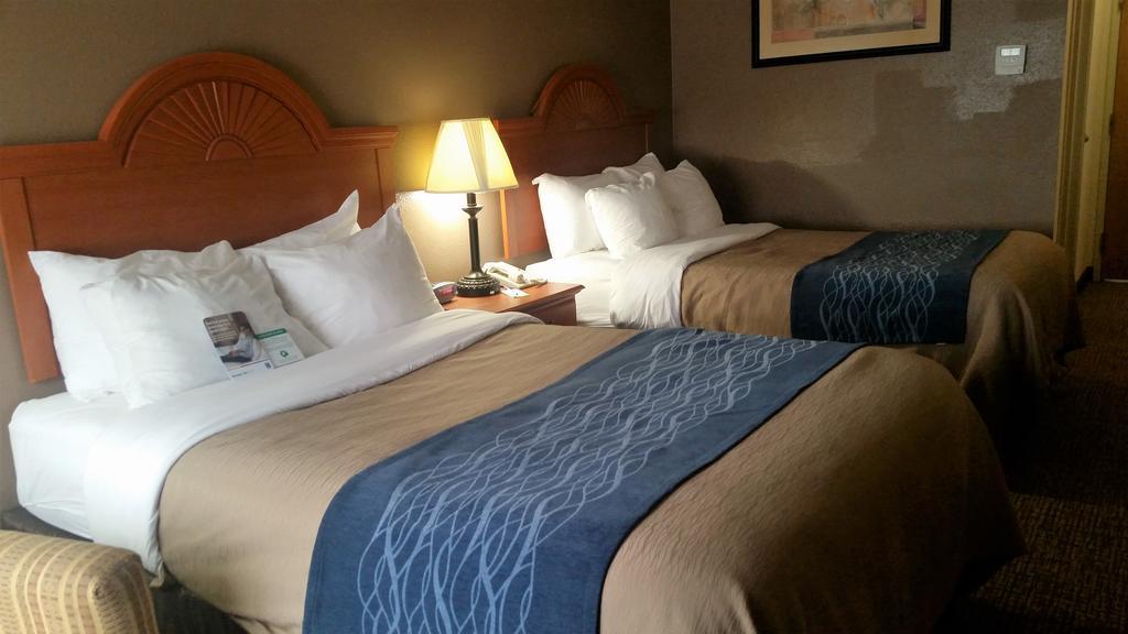 Comfort Downtown - Area Inn 2*