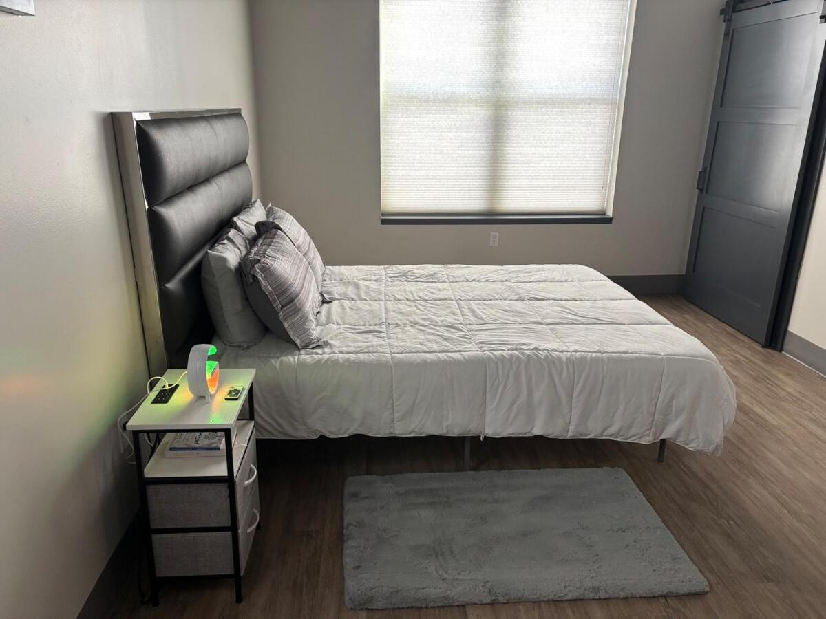 Apartment Downtown 1 Bedroom View Of 301