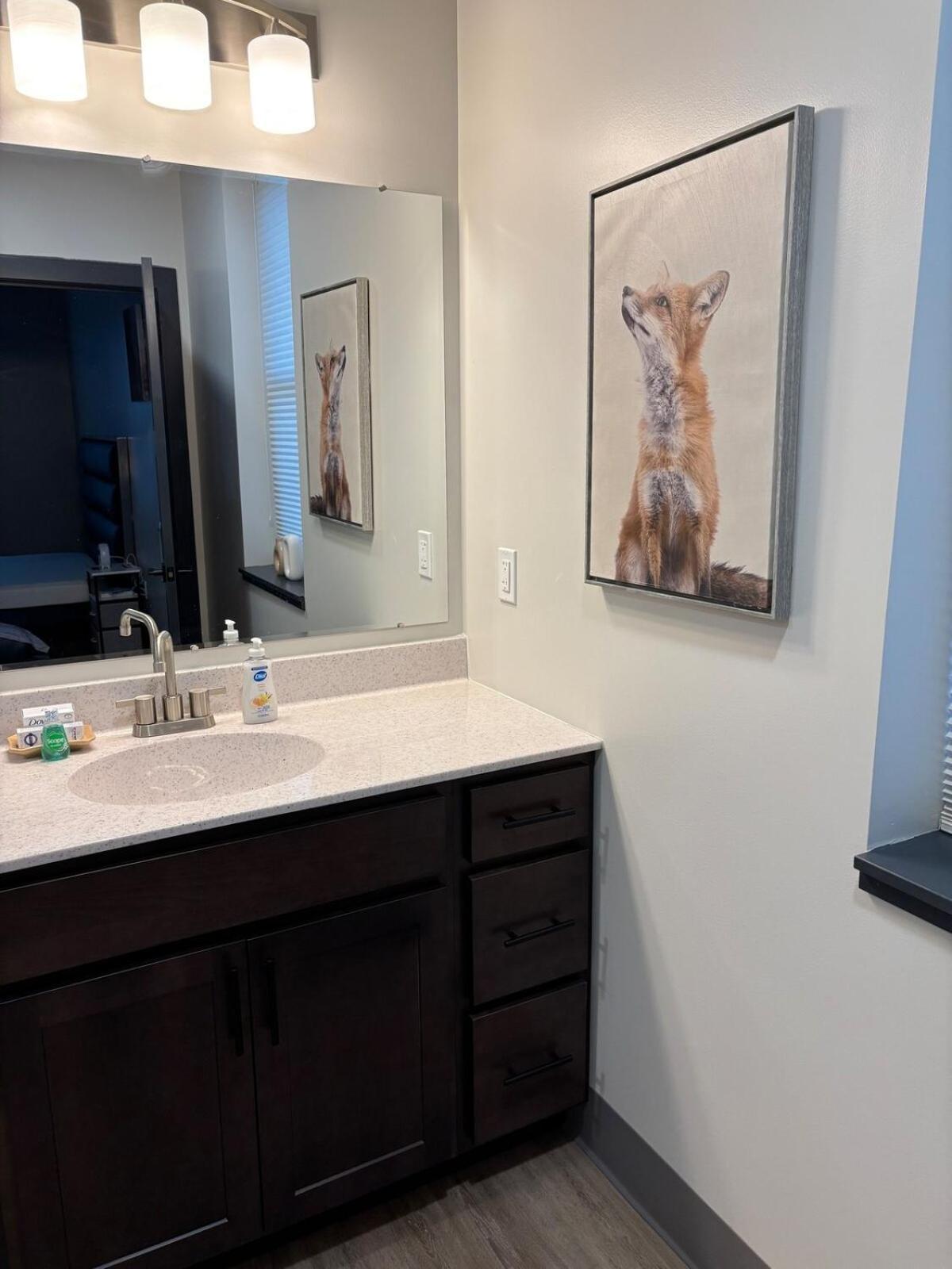 Apartment Downtown 1 Bedroom View Of 301 Kalamazoo