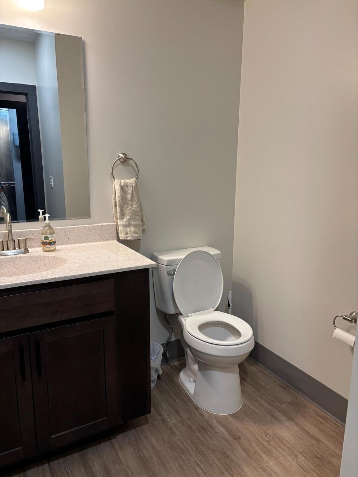 Apartment Downtown 1 Bedroom View Of 301