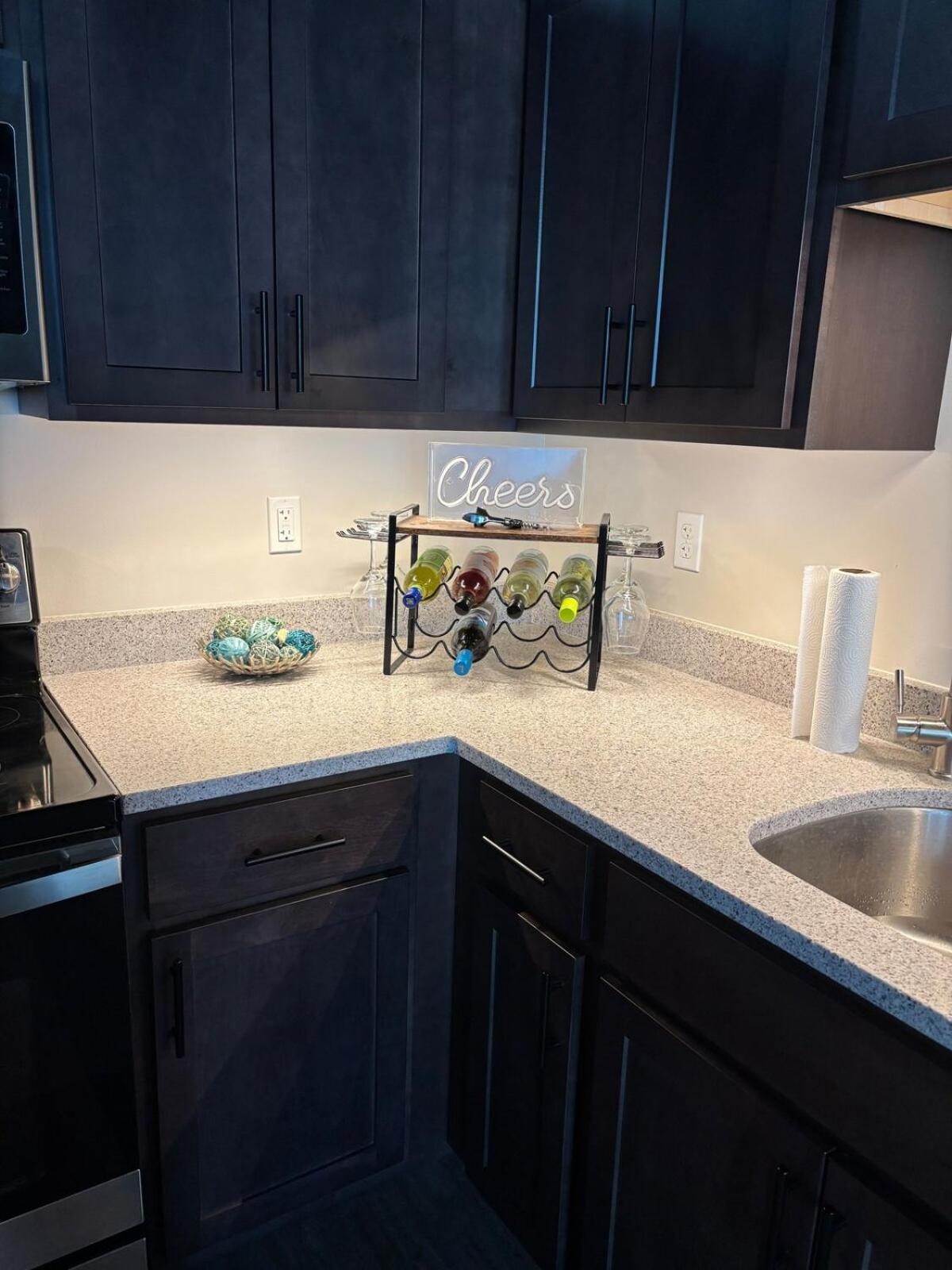 Apartment Downtown 1 Bedroom View Of 301 *