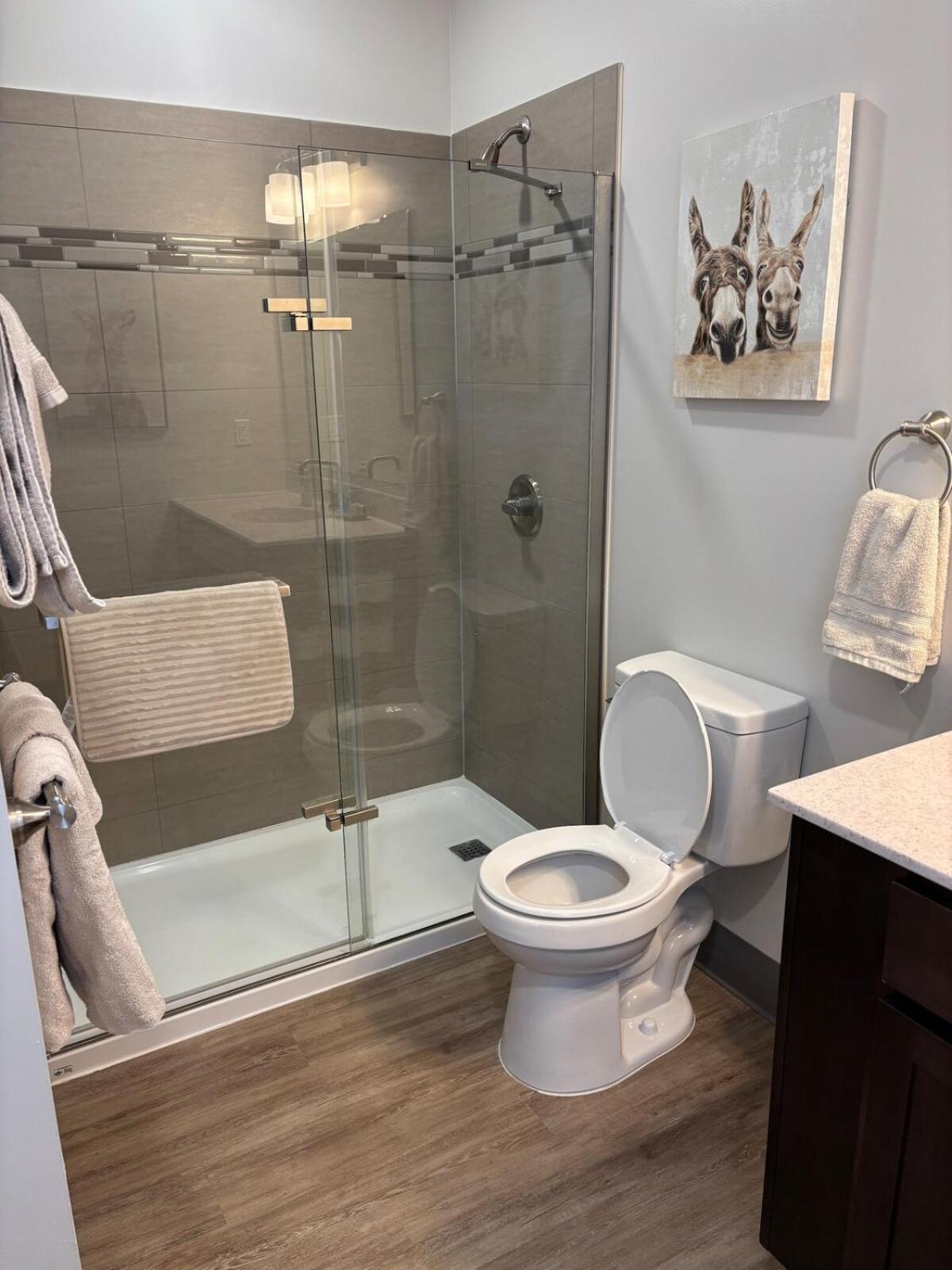 Apartment Downtown 1 Bedroom View Of 301 *