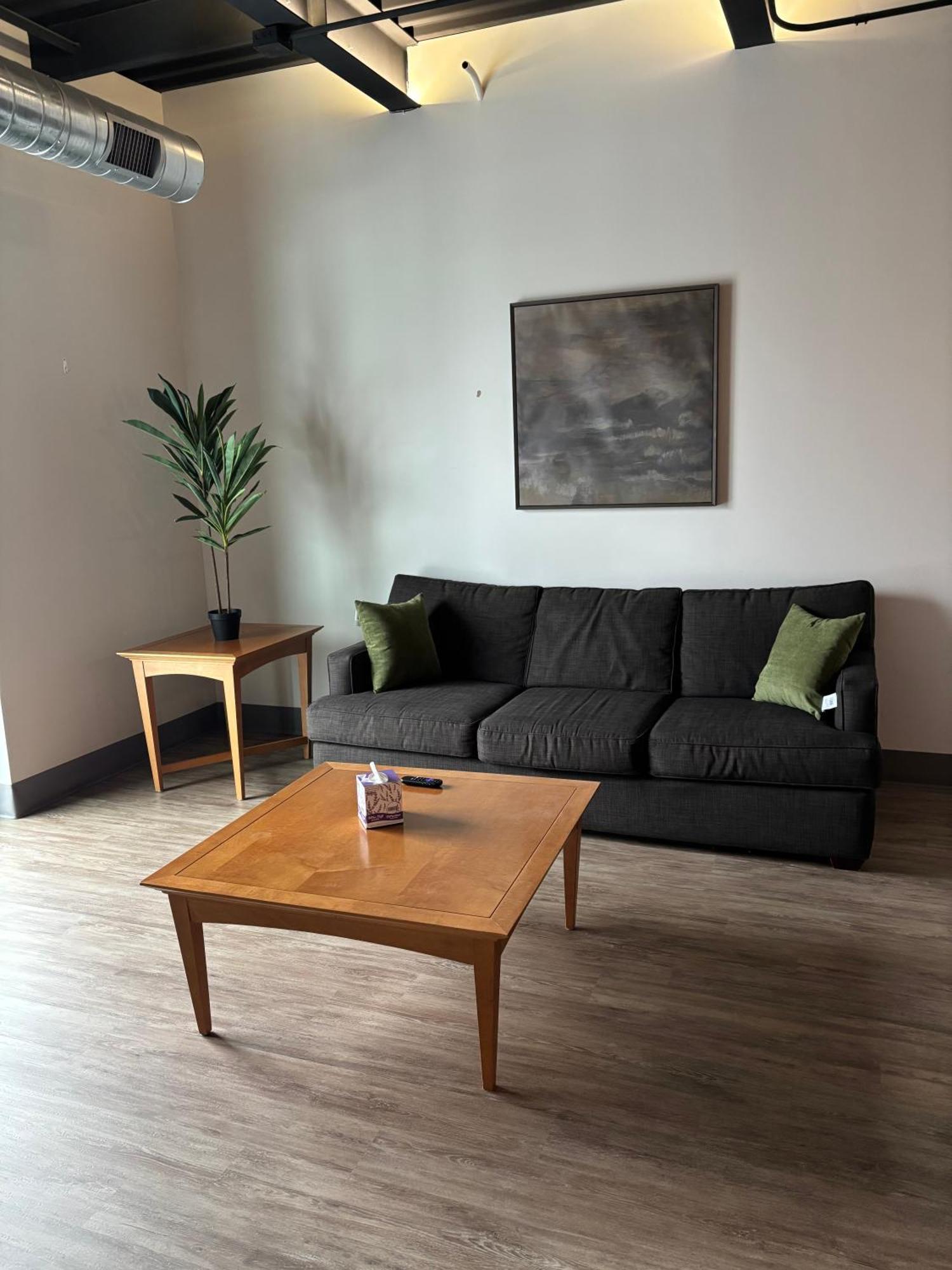 New Luxury Downtown 1 Bedroom 201 Kalamazoo