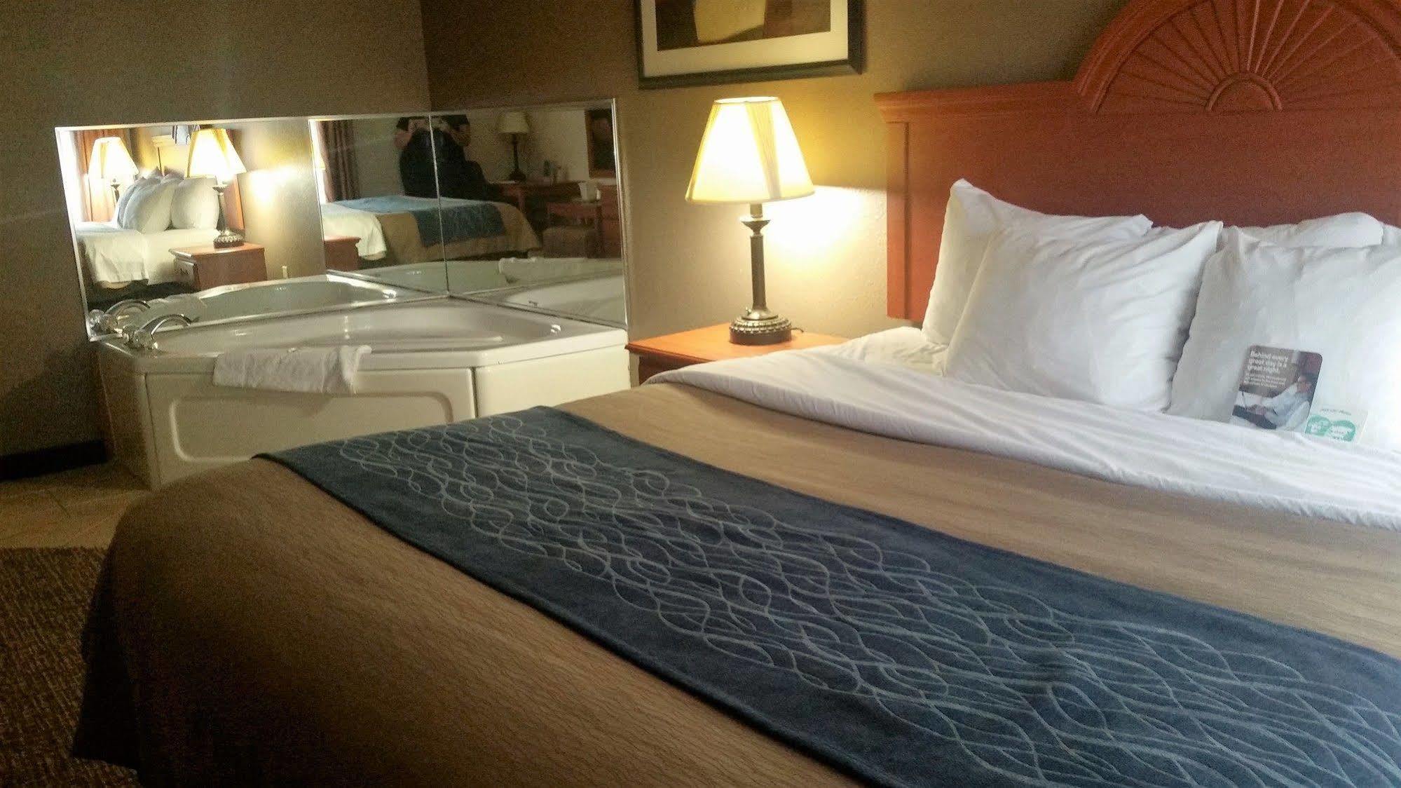 Comfort Downtown - Area Inn