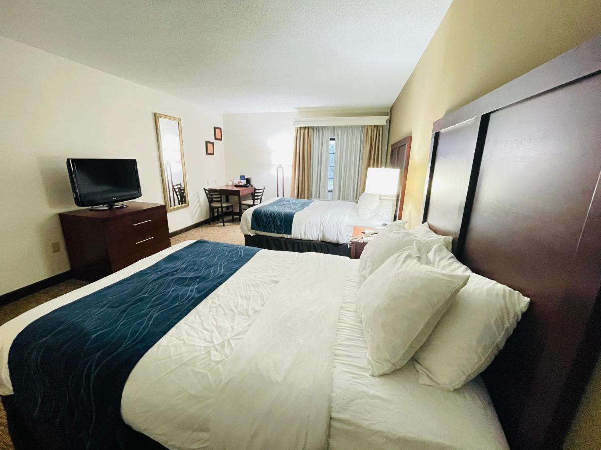Comfort Downtown - Area 2*